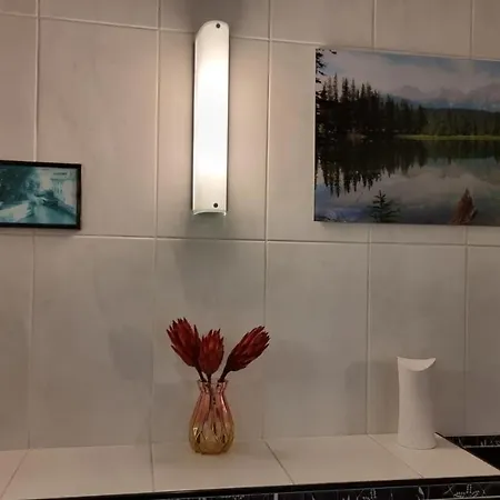 Geraeumiges Und Modernes Tara Am Mit Parkplatz! Apartmán Zandvoort