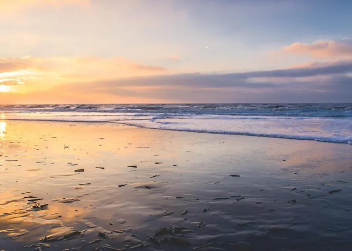 Appartamento Geraeumiges Und Modernes Tara Am Mit Parkplatz! Zandvoort